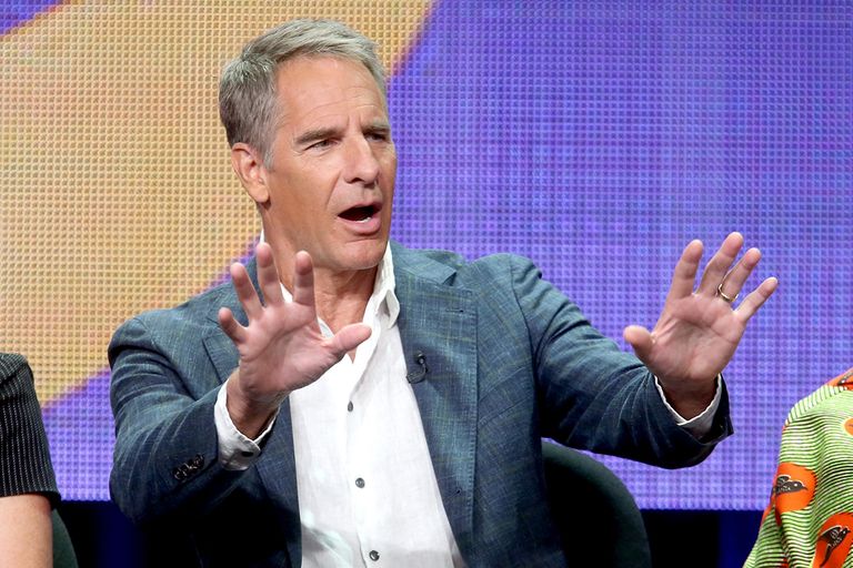 https://www.gettyimages.com/detail/news-photo/actor-scott-bakula-speaks-onstage-at-the-ncis-new-orleans-news-photo/452287578