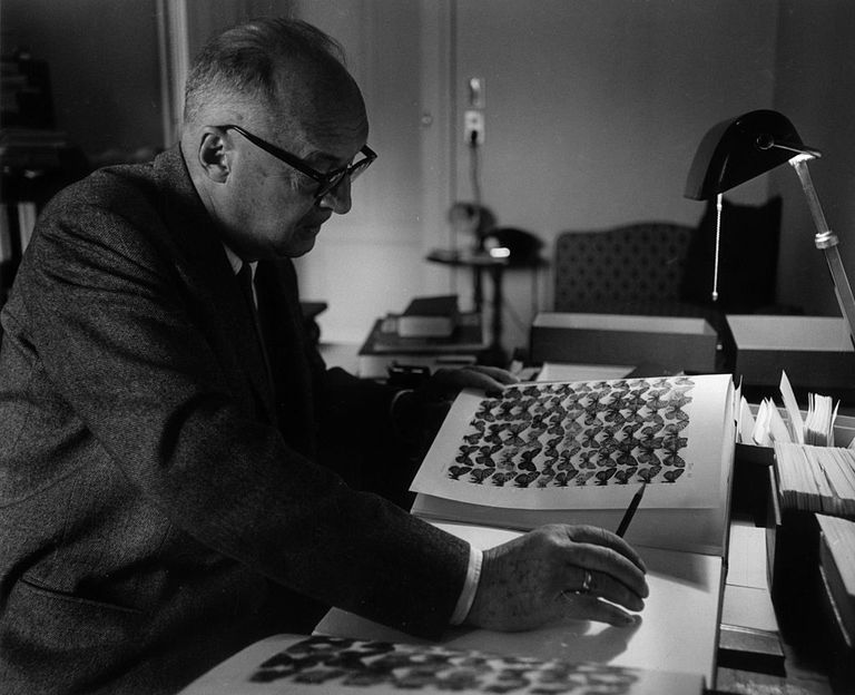 https://www.gettyimages.co.uk/detail/news-photo/russian-born-writer-vladimir-nabokov-studies-a-butterfly-news-photo/3209076