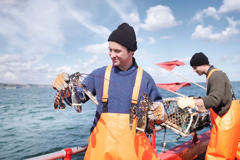 https://www.gettyimages.com/detail/photo/fishermen-on-boat-holding-lobsters-royalty-free-image/108353047?phrase=blue%20lobster