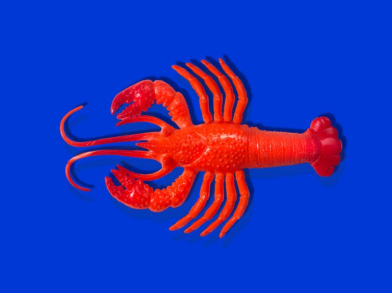 https://www.gettyimages.co.uk/detail/photo/rubber-lobster-toy-royalty-free-image/1396823003?phrase=lobster%20toy&adppopup=true