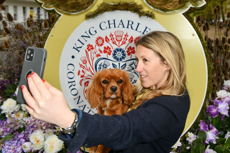 https://www.gettyimages.co.uk/detail/news-photo/cavalier-king-charles-spaniel-called-pickle-with-her-owner-news-photo/1485334837