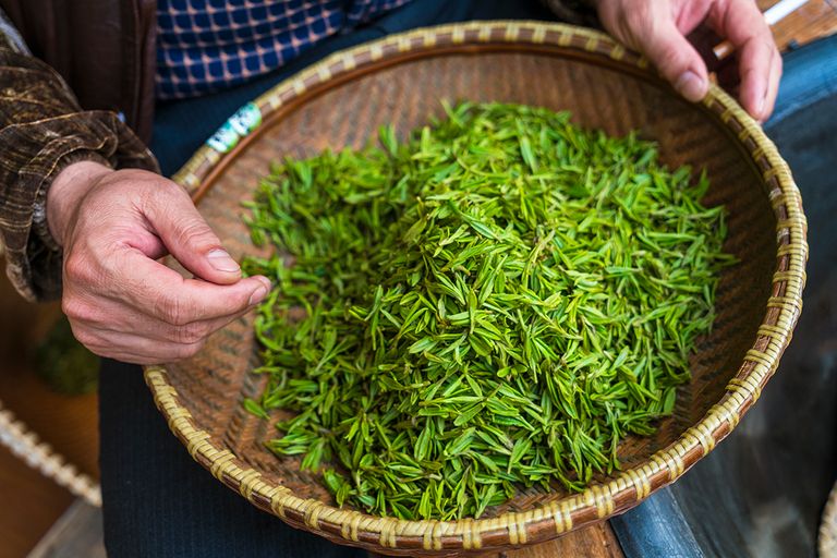 https://www.gettyimages.co.uk/detail/photo/green-tea-leaves-being-sorted-by-hand-shanghai-royalty-free-image/943427876?phrase=Green+tea