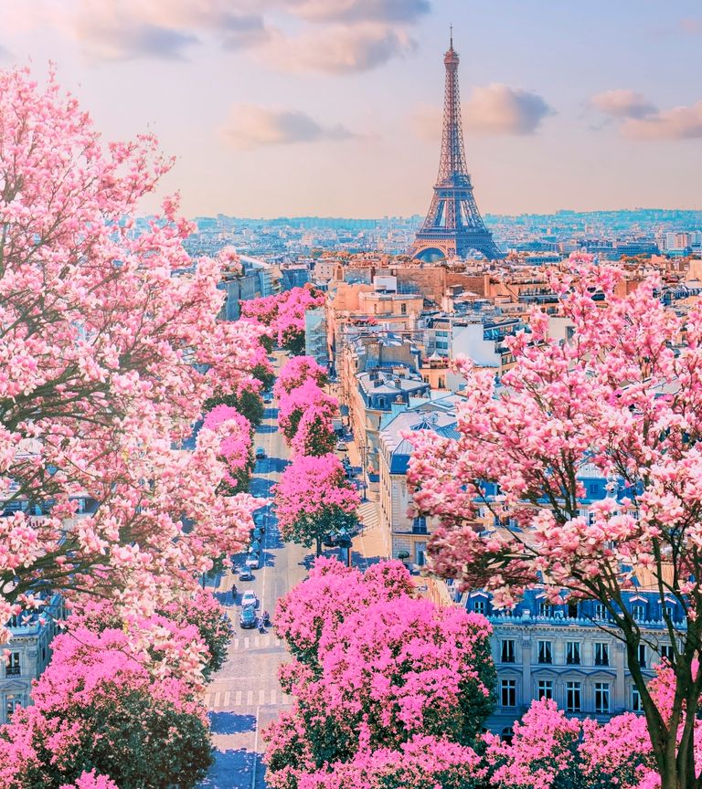 https://www.gettyimages.co.uk/detail/photo/paris-city-in-the-springtime-royalty-free-image/1415871750?phrase=Paris+springtime&adppopup=true