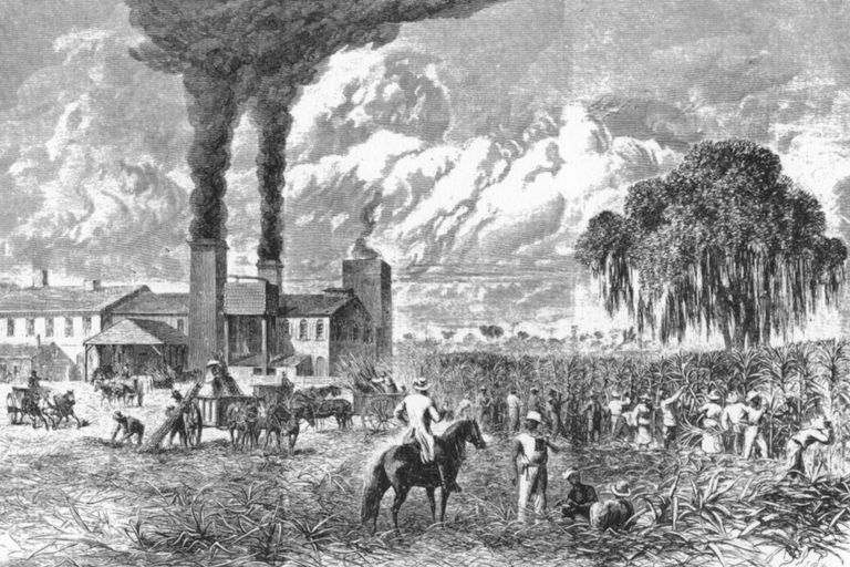 https://www.gettyimages.com/detail/news-photo/sugar-plantation-new-orleans-1870-crushing-the-sap-out-of-news-photo/463977477