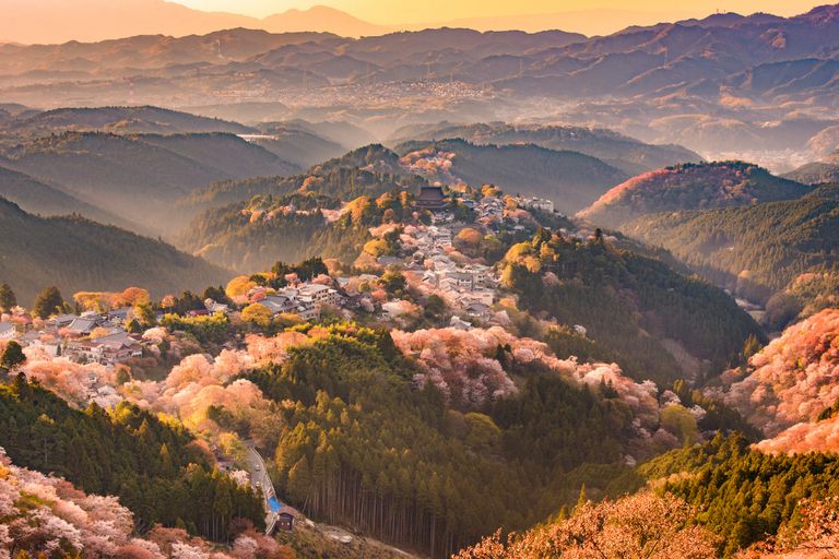 https://www.gettyimages.co.uk/detail/photo/yoshinoyama-japan-in-spring-royalty-free-image/832159230?phrase=spring+blossom+aerial&adppopup=true