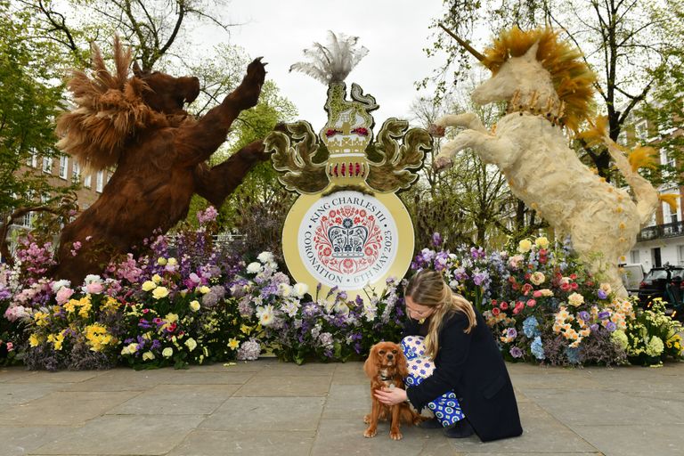 https://www.gettyimages.co.uk/detail/news-photo/cavalier-king-charles-spaniel-called-pickle-with-her-owner-news-photo/1485334827