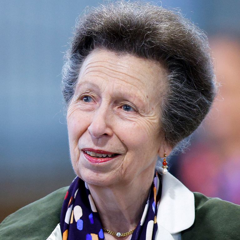 https://www.gettyimages.com/detail/news-photo/princess-anne-princess-royal-looks-on-during-a-visit-to-the-news-photo/1466507509
