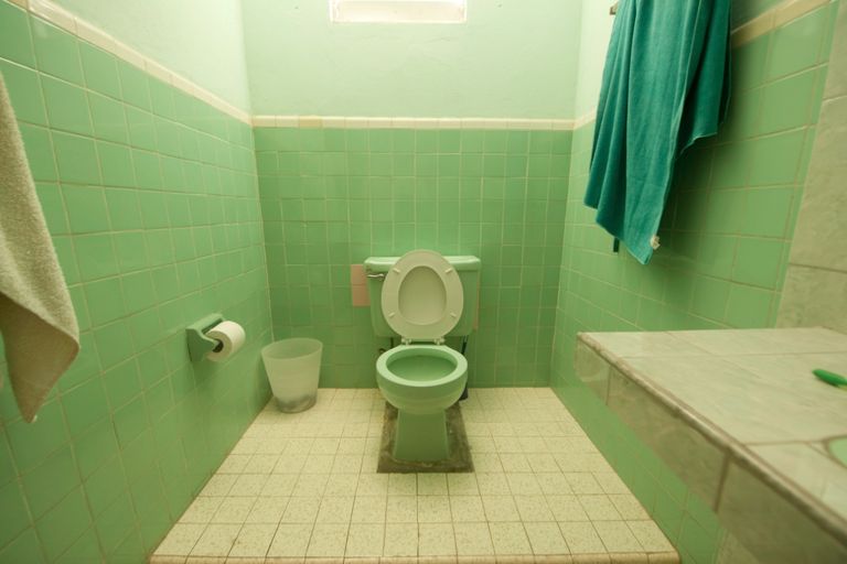 https://www.gettyimages.co.uk/detail/photo/green-bathroom-royalty-free-image/171571518?phrase=old+toilet