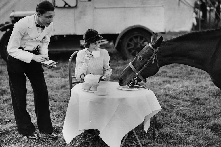 https://www.gettyimages.co.uk/detail/news-photo/horse-sharing-tea-and-cakes-as-a-waiter-looks-on-at-a-news-photo/3355847