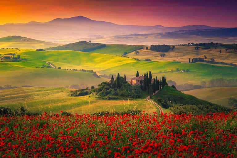 https://www.gettyimages.co.uk/detail/photo/stunning-red-poppies-blossom-on-meadows-in-tuscany-royalty-free-image/1197596568?phrase=Tuscany+poppies&adppopup=true