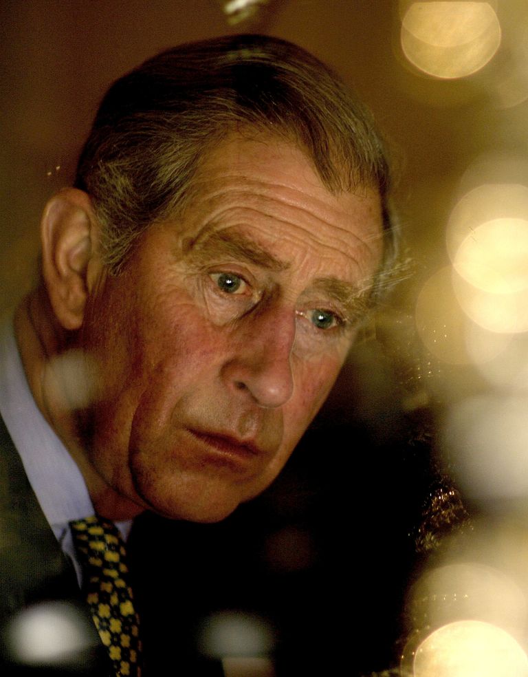 https://www.gettyimages.co.uk/detail/news-photo/prince-charles-prince-of-wales-visits-the-jewish-museum-in-news-photo/115491525?adppopup=true