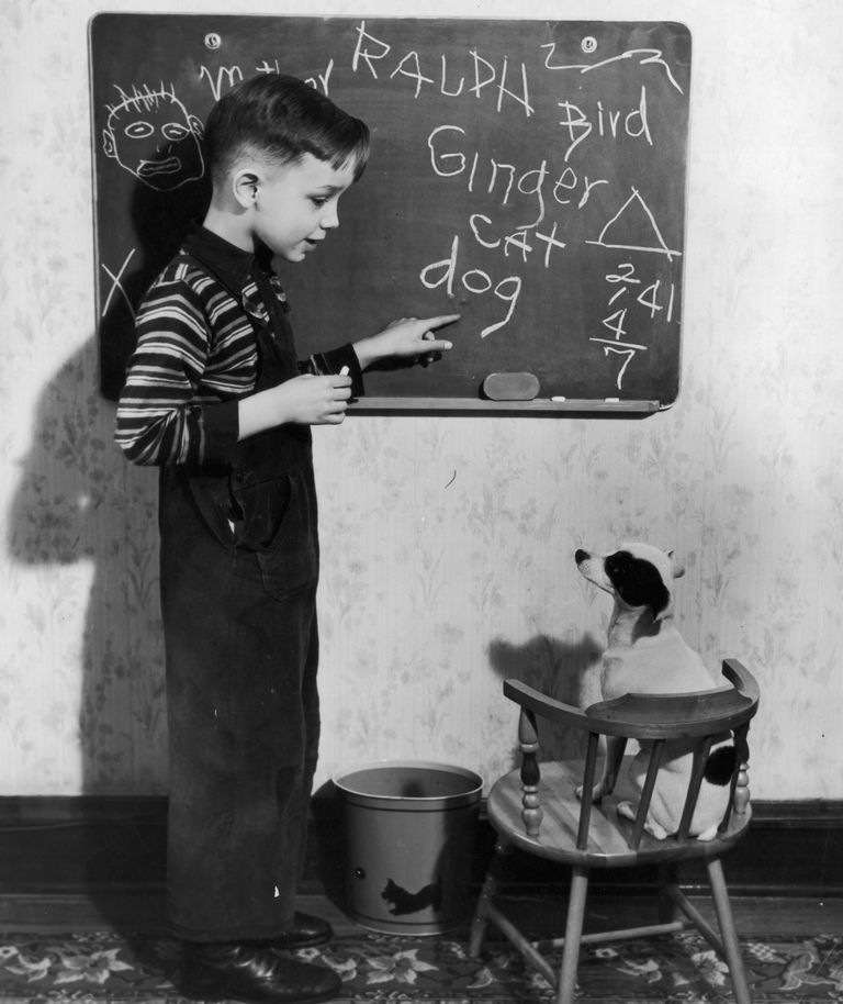 https://www.gettyimages.com/detail/news-photo/circa-1940-a-little-boy-tries-to-teach-his-dog-to-read-news-photo/82581177?adppopup=true