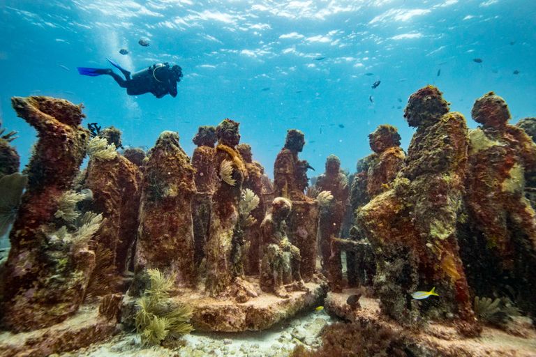 https://www.gettyimages.com/detail/news-photo/general-view-of-life-sized-underwater-statues-at-musa-off-news-photo/1043955206?adppopup=true