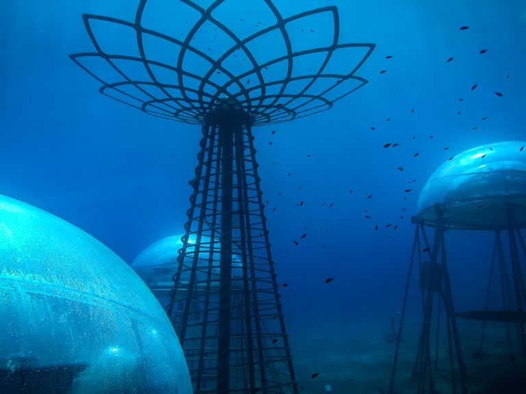 https://www.gettyimages.co.uk/detail/news-photo/biospheres-are-seen-underwater-anchored-to-the-sea-bottom-news-photo/843030922