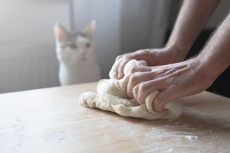 https://www.gettyimages.com/detail/photo/young-caucasian-male-hands-working-the-dough-near-royalty-free-image/1218863539?phrase=cat+Bread+dough+with+yeast