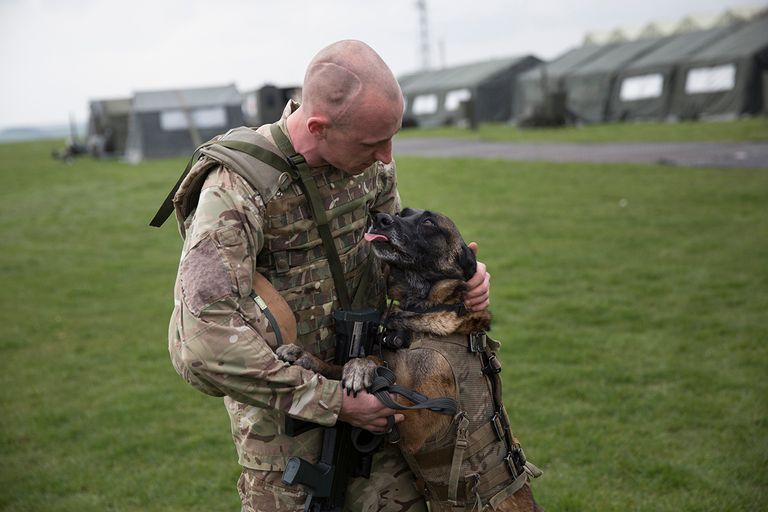 https://www.gettyimages.com/detail/news-photo/private-terry-gidzinski-and-his-military-working-dog-news-photo/480667901
