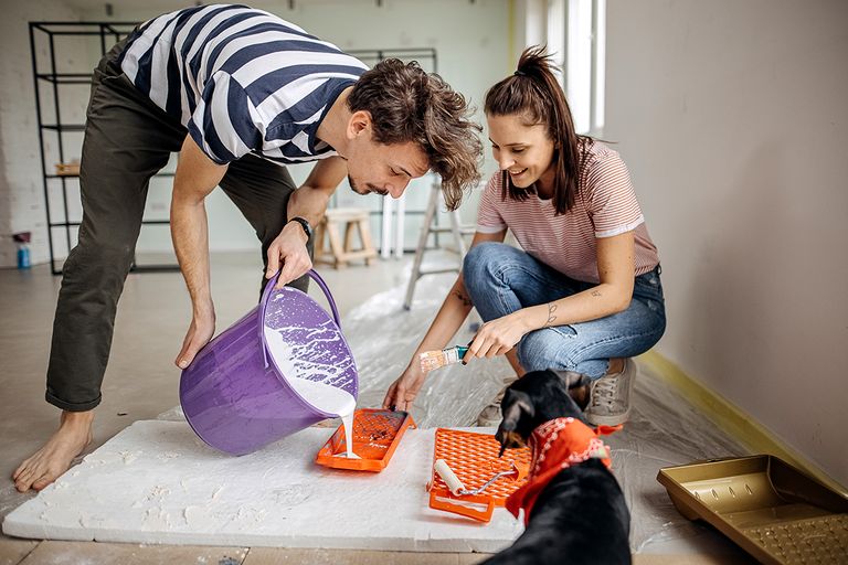 https://www.gettyimages.com/detail/photo/we-are-building-our-new-home-royalty-free-image/1370937375?phrase=pets+Paint
