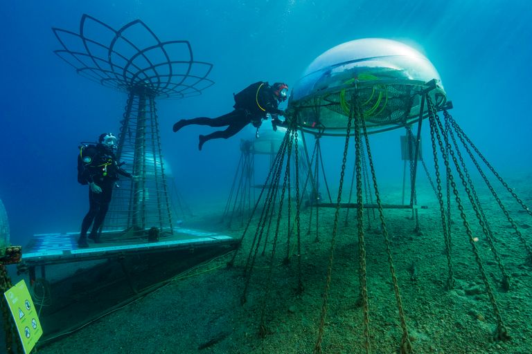 https://www.gettyimages.co.uk/detail/news-photo/two-professional-divers-are-maintaining-the-underwater-news-photo/1083670968
