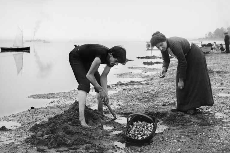 https://www.gettyimages.co.uk/detail/news-photo/man-and-a-woman-clam-along-the-shore-in-massachusetts-in-news-photo/526520702?adppopup=true