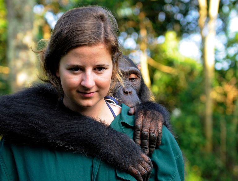 https://www.gettyimages.co.uk/detail/photo/chimpanzee-and-handler-royalty-free-image/174659645?phrase=ape+human