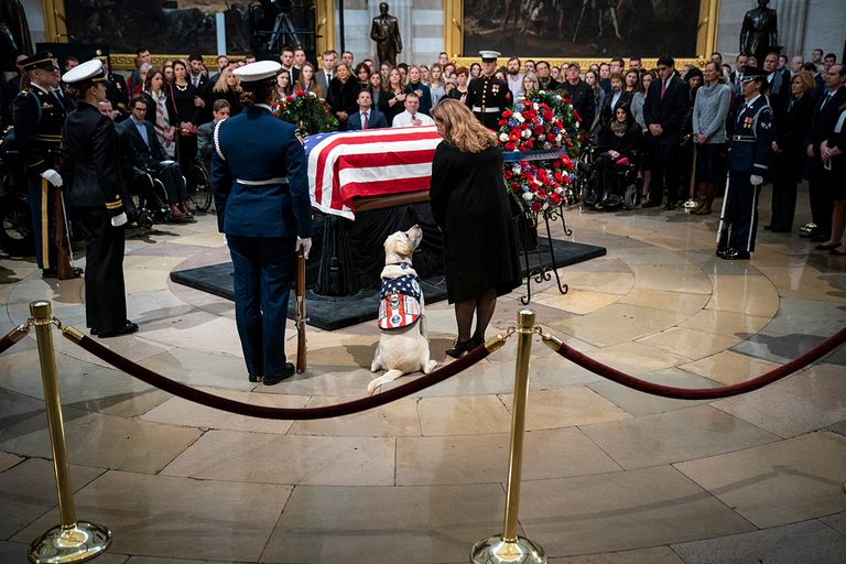 https://www.gettyimages.com/detail/news-photo/sully-a-yellow-labrador-service-dog-for-former-president-news-photo/1068359710