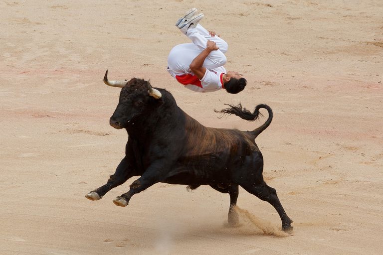 https://www.gettyimages.co.uk/detail/news-photo/recortador-jumps-over-a-bull-in-the-bullring-during-the-news-photo/480353108