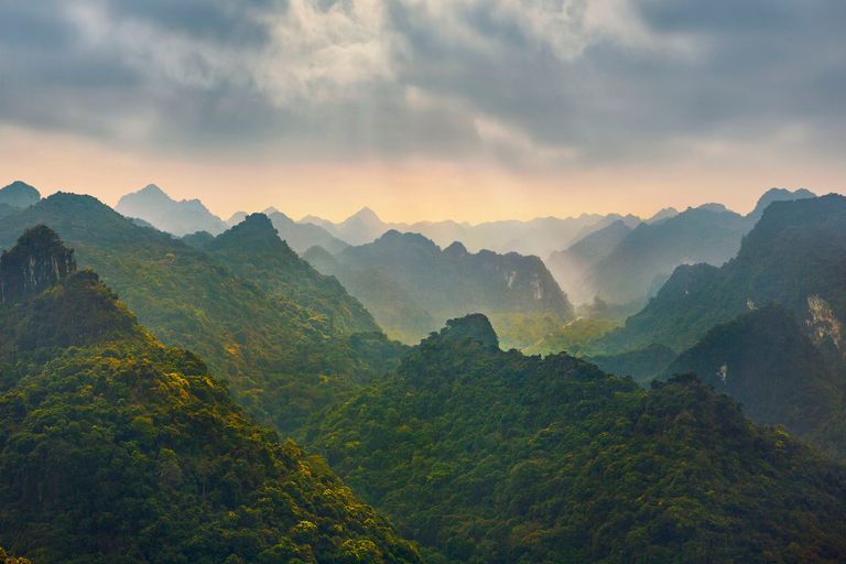 https://www.gettyimages.co.uk/detail/photo/karst-mountains-on-cat-ba-island-halong-bay-vietnam-royalty-free-image/1317460431?phrase=vietnam+jungle+&adppopup=true