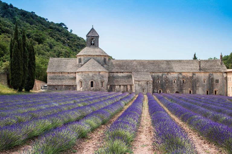 https://www.gettyimages.co.uk/detail/news-photo/blooming-field-of-lavender-in-front-of-senanque-abbey-news-photo/1172161334