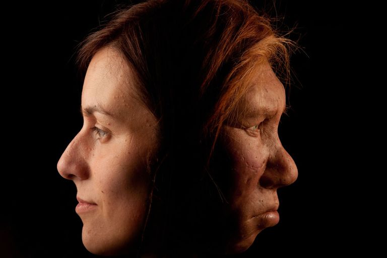 https://www.gettyimages.com/detail/news-photo/the-neanderthal-woman-was-re-created-and-built-by-dutch-news-photo/1294965813?adppopup=true