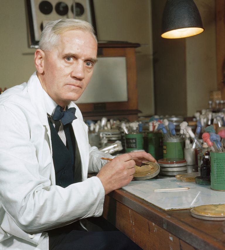 https://www.gettyimages.co.uk/detail/news-photo/professor-alexander-fleming-in-his-laboratory-at-st-marys-news-photo/1475853691