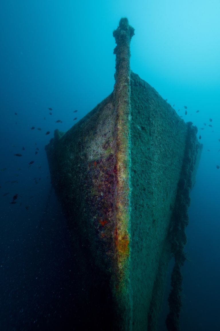 https://www.gettyimages.co.uk/detail/news-photo/view-from-the-shipwreck-of-french-navys-society-at-the-news-photo/1497377083
