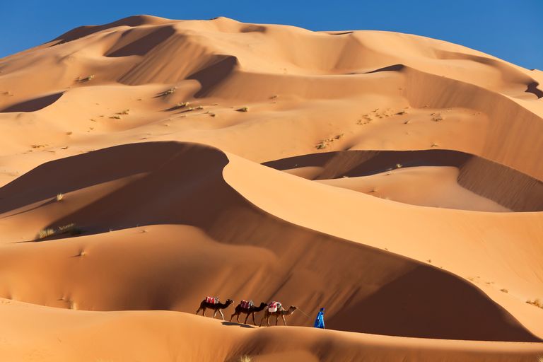 https://www.gettyimages.co.uk/detail/photo/camels-dunes-erg-chebbi-sahara-desert-morocco-royalty-free-image/121982392