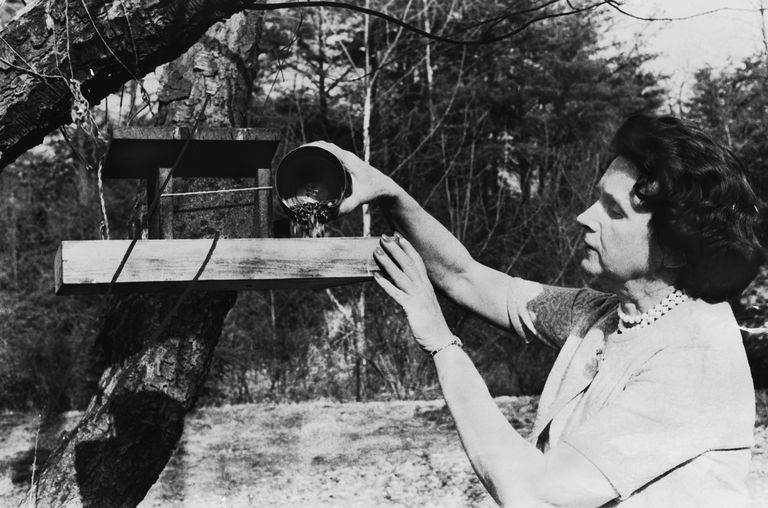 https://www.gettyimages.co.uk/detail/news-photo/american-conservationist-rachel-carson-pours-seed-onto-a-news-photo/1382278656
