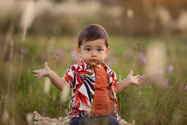 https://www.gettyimages.co.uk/detail/photo/one-year-old-latin-american-boys-portrait-at-sunset-royalty-free-image/1435970441