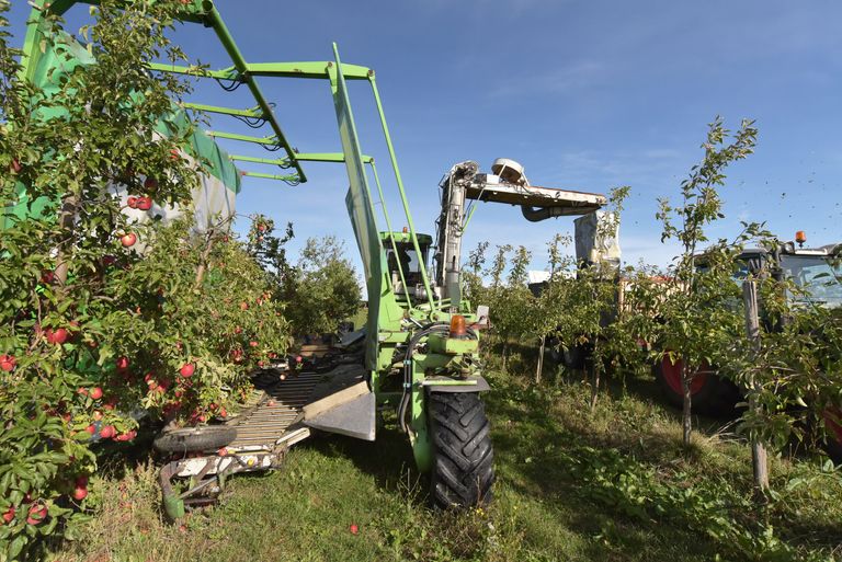 https://www.gettyimages.com/detail/photo/modern-apple-harvest-with-a-harvesting-machine-on-a-royalty-free-image/1160833994?phrase=apple+harvester+robot&adppopup=true