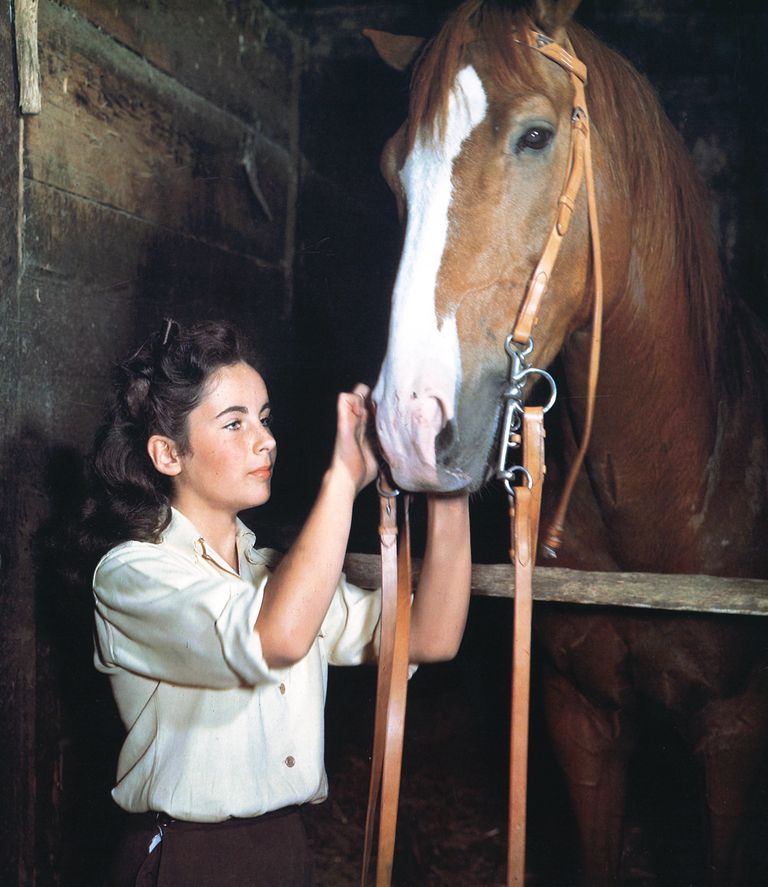 https://www.gettyimages.com/detail/news-photo/elizabeth-taylor-british-actress-with-her-horse-the-pie-in-news-photo/119588386?adppopup=true