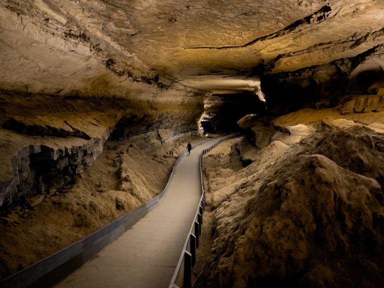 https://www.gettyimages.co.uk/detail/photo/mammoth-cave-royalty-free-image/1335760991