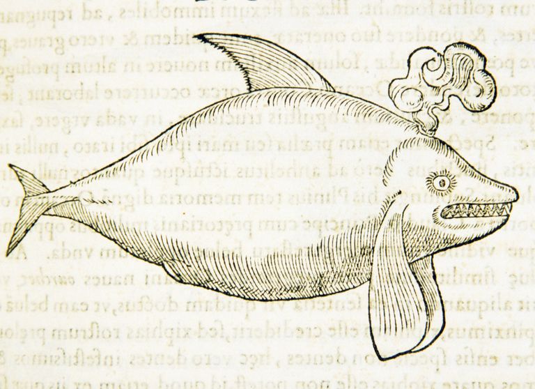 https://www.gettyimages.co.uk/detail/news-photo/woodcut-illustration-of-a-grampus-in-profile-grampus-news-photo/1354419484