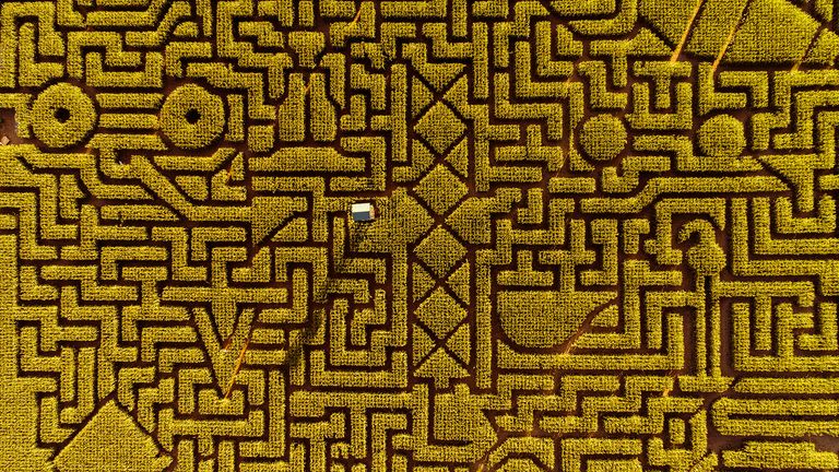https://www.gettyimages.co.uk/detail/photo/the-huge-halloweens-corn-maze-in-pennsylvania-royalty-free-image/989788860?phrase=maize+maze&adppopup=true