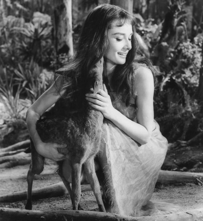 https://www.gettyimages.com/detail/news-photo/audrey-hepburn-with-a-baby-deer-in-a-scene-from-the-film-news-photo/123264830