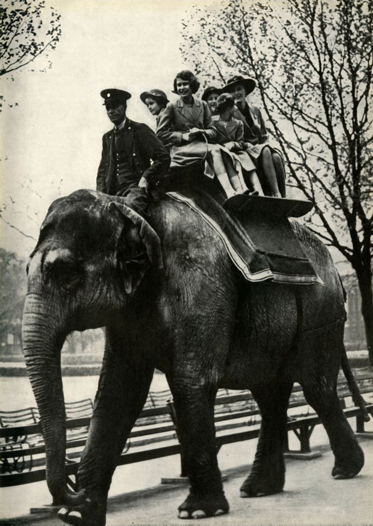 https://www.gettyimages.co.uk/detail/news-photo/at-the-london-zoo-enjoying-a-ride-on-an-elephant-the-future-news-photo/1472384735?adppopup=true