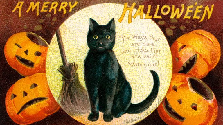 https://www.gettyimages.co.uk/detail/news-photo/merry-halloween-vintage-illustration-with-a-black-cat-and-news-photo/508561547