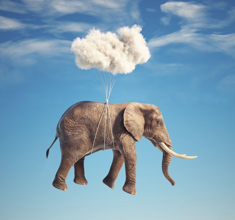 https://www.gettyimages.co.uk/detail/photo/elephant-flying-with-a-cloud-royalty-free-image/1419847818