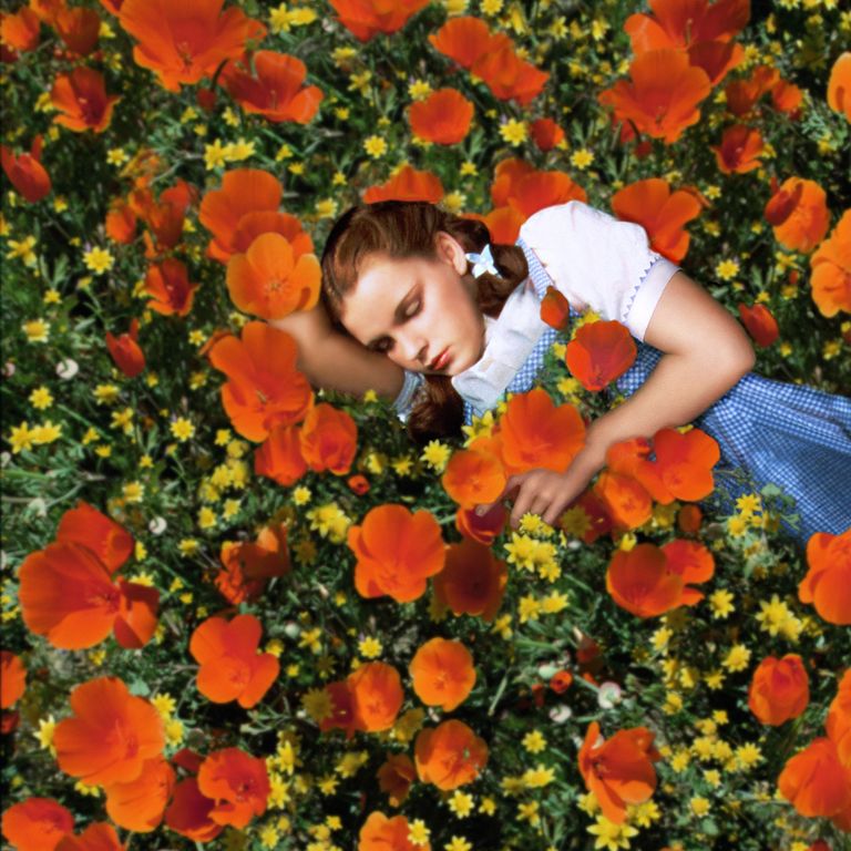https://www.gettyimages.co.uk/detail/news-photo/judy-garland-us-actress-and-singer-sleeping-in-a-field-of-news-photo/120355012?adppopup=true