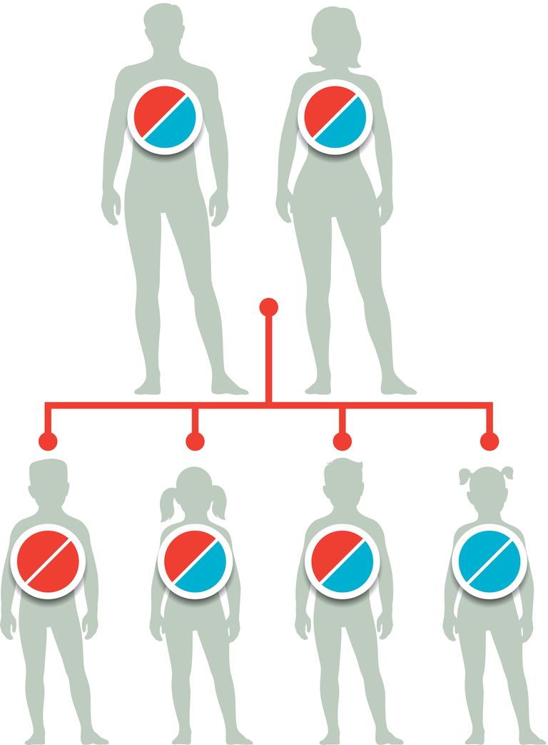 https://www.gettyimages.co.uk/detail/illustration/genetic-disorder-family-tree-royalty-free-illustration/520390785?phrase=family+tree+DNA&adppopup=true