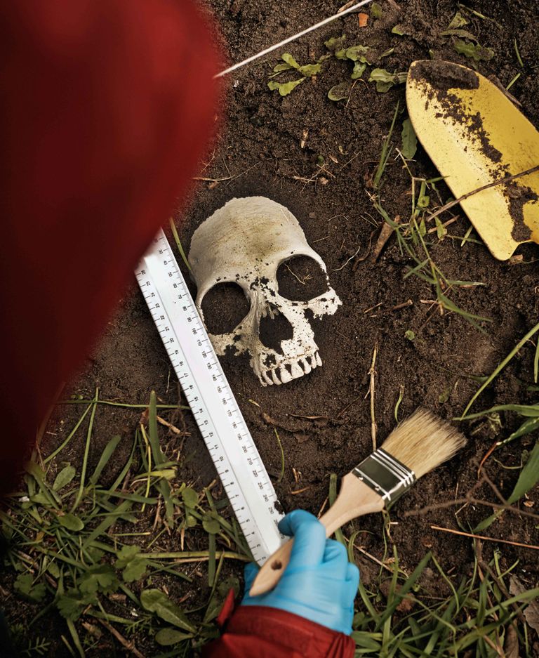 https://www.gettyimages.co.uk/detail/photo/or-archaeologist-digging-up-buried-skull-royalty-free-image/1179551298?phrase=exhume&adppopup=true