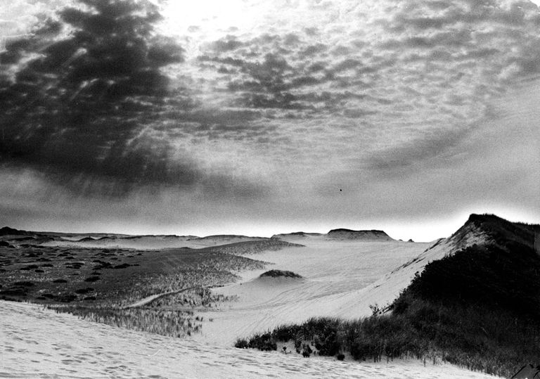 https://www.gettyimages.co.uk/detail/news-photo/sand-dunes-at-race-point-beach-in-provincetown-ma-are-news-photo/1142603058
