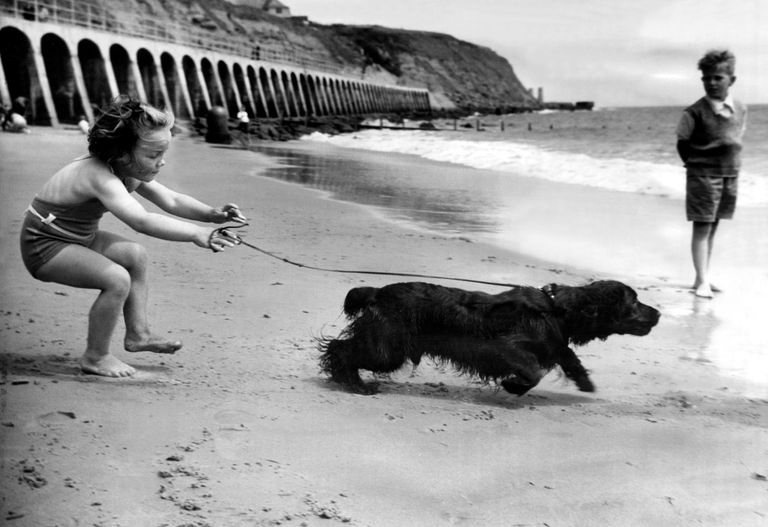 https://www.gettyimages.co.uk/detail/news-photo/young-judy-early-tries-to-control-her-dog-but-he-is-news-photo/1450431637