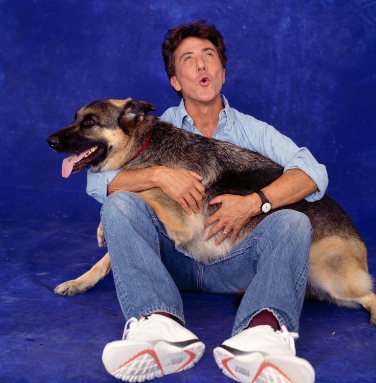 https://www.gettyimages.co.uk/detail/news-photo/dustin-hoffman-sits-with-large-german-shepherd-on-his-lap-news-photo/1467113669