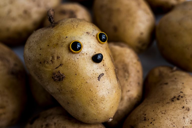 https://www.gettyimages.co.uk/detail/photo/the-face-on-the-potato-royalty-free-image/618835336?phrase=sad+potato&adppopup=true